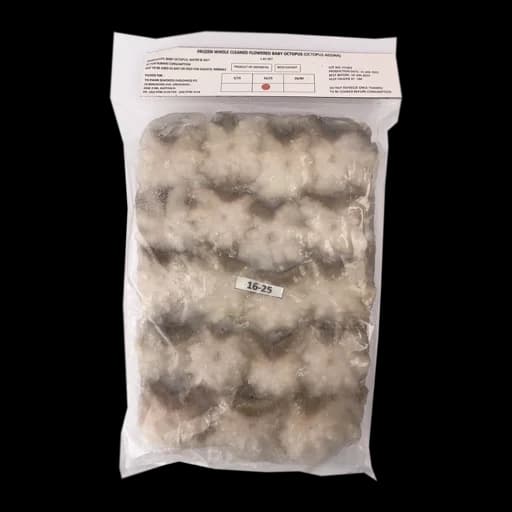Frozen Baby Octopus 16/25 1kg